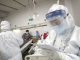 Tech giants to track coronavirus with QR codes