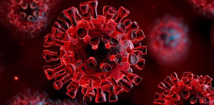 Pakistan jumped to 19,533 coronavirus cases.