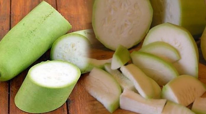 Bottle gourd or Lauki is a gift from nature which can bring many benefits to human beings.