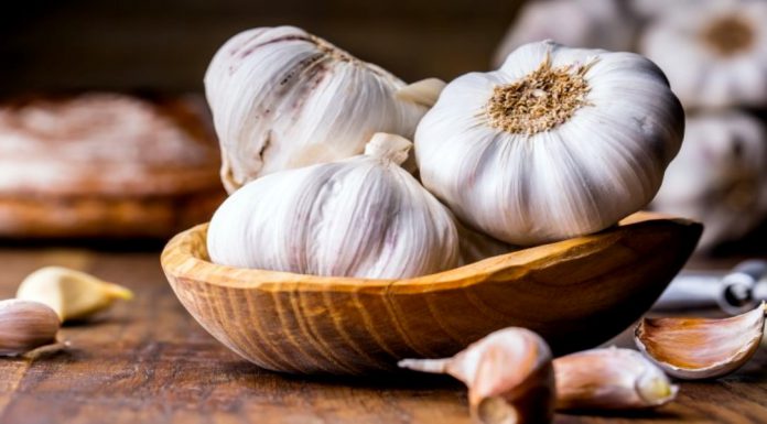Garlic is highly valued for its numerous health benefiting properties.
