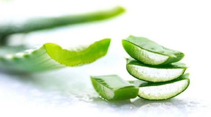 Aloe Vera provide many amazing benefits for skin, health, weight loss.