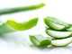 Aloe Vera provide many amazing benefits for skin, health, weight loss.