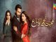 Zahid Ahmed answer the most asked question about his drama serial ‘Muhabbat Tujhy Alvida’.