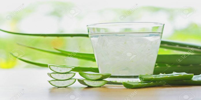 Aloe vera is not only good for external uses but for internal uses as well.