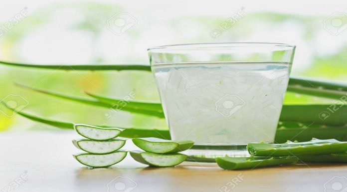 Aloe vera is not only good for external uses but for internal uses as well.