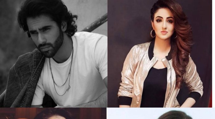 Top 4 new addition in the Pakistani drama industry that are amazing.