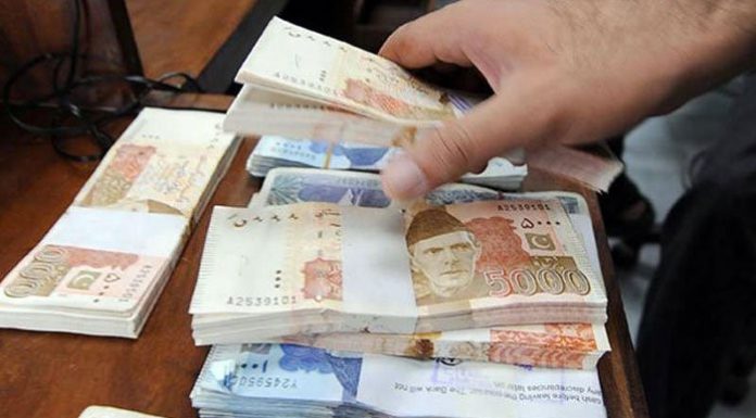 Women can obtain business loans of up to Rs 5 million,SBP Seema Kamil.