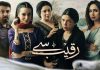 Upcoming Famous Pakistani Drama Raqeeb Se on Hum TV