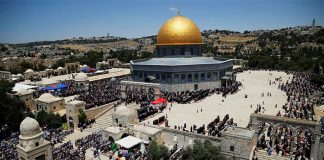 Israel Attacks on Masjid-Al-Aqsa: Sajani Writes Letter to Global Parliament