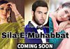 Sila e Muhabbat, New Hum TV Drama - Cast, Storyline & Details