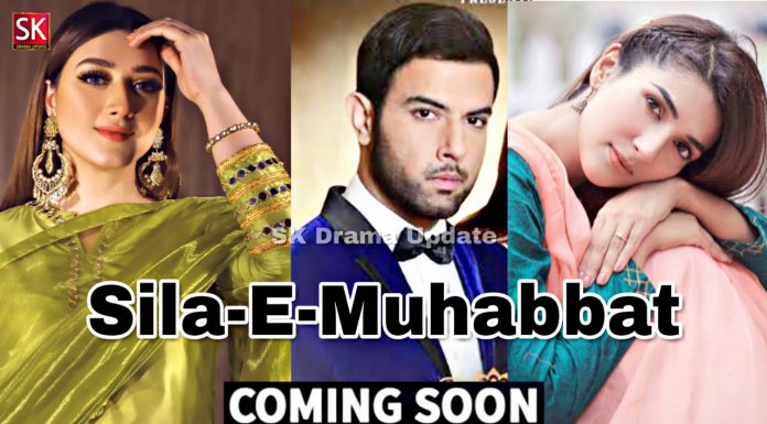 Sila e Muhabbat, New Hum TV Drama - Cast, Storyline & Details