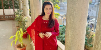 Areeba Habib: Upcoming drama Nehar highlight the issue of dowry