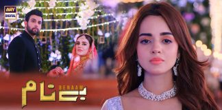 Upcoming Drama Benaam - Cast, Story, and Timing.