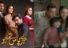 Indian Drama Visibly Copy Mere Pass Tum Ho, Pakistanis React!