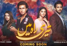 Teri Rah Mein Drama Cast, Story, Teasers, And All Other Details.