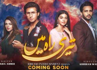 Teri Rah Mein Drama Cast, Story, Teasers, And All Other Details.