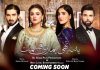 Hira Mani and Noor Hassan will Share the Screen in New Drama Serial.