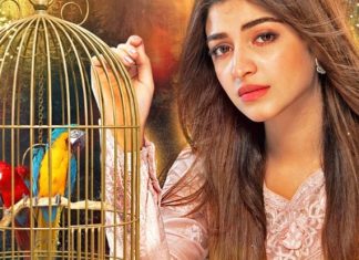Kinza Hashmi &Affan Waheed are coming together in New Drama Serial.