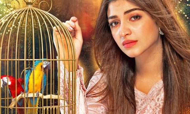 Kinza Hashmi &Affan Waheed are coming together in New Drama Serial.