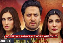 Inaam-e-Mohabbat – New Drama Serial, Cast, Story, and Release Date