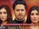 Inaam-e-Mohabbat – New Drama Serial, Cast, Story, and Release Date