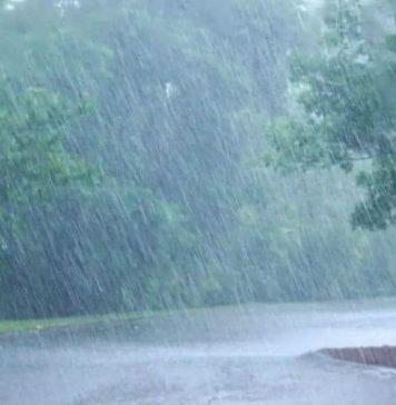Monsoon Rains are likely to begin at the end of June 2022