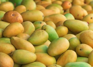 Pakistan's top 5 Online Pages that Selling Quality Mangoes.
