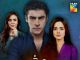 Drama Serial Wehshi, Cast, Story, Writer, Timing– Hum TV