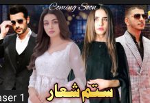 Sitam Shaar New Drama Serial Cast, Story, and Release Date