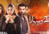 Hum TV Upcoming Drama Serial "Tinkay Ka Sahara"