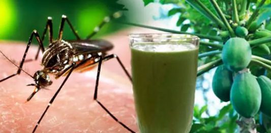Karachi Restaurants that Are Offering Free Papaya leaf Juice For Dengue!