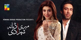 Meri Shehzadi: Urwa's upcoming drama influenced by Princess Diana