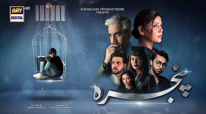Upcoming Drama Serial Pinjra- starring Hadiqa Kiani and Omair Rana