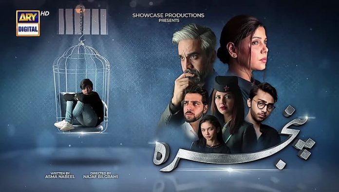 Upcoming Drama Serial Pinjra- starring Hadiqa Kiani and Omair Rana