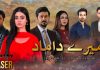 Drama Serial Mere Damad – Details, Teasers, and Cast