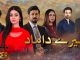Drama Serial Mere Damad – Details, Teasers, and Cast