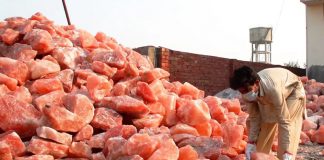 Pink Himalayan Salt: US company to invest $200m in Pak pink salt industry