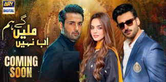 Ab Nahi Milenge Hum -Affan Waheed’s Drama, Cast, Details & Teaser