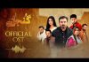 Zaviyar Nauman & Noor Zafar Khan Features New Drama, Serial Gunjal