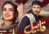 “Qabeel”, A New Drama Serial featuring Faysal Qureshi-Details &Teasers