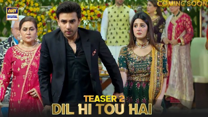 Dil Hi Tou Hai- The Upcoming Drama Serial Starring Ali Ansari