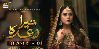 Tera Wada: The first teaser of the anticipated drama serial