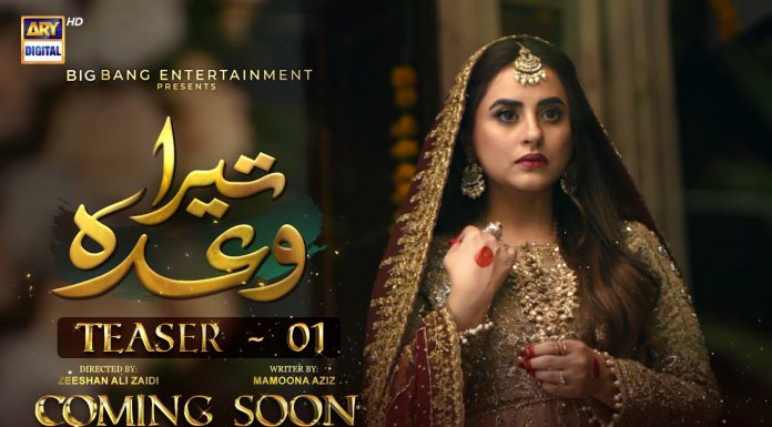Tera Wada: The first teaser of the anticipated drama serial