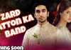Hum TV Presents New Drama Serial “Zard Patton Ka Band”
