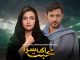 Mohabbat Ek Saza- Sana Javed and Zahid Team Up for Upcoming Drama