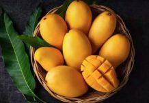 Start Your Day Right: Quick Mango Breakfast Recipes for Busy Mornings